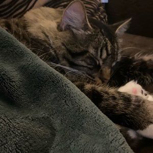 Meet your Posher, Meaghan